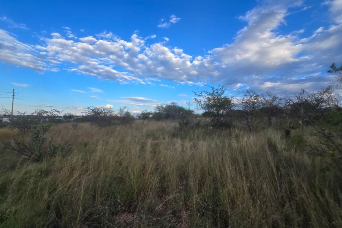 A view of a vacant residential plot featuring natural grassland and native vegetation under a clear blue sky.