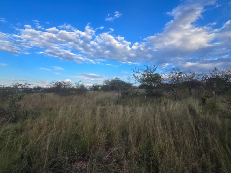 A view of a vacant residential plot featuring natural grassland and native vegetation under a clear blue sky.