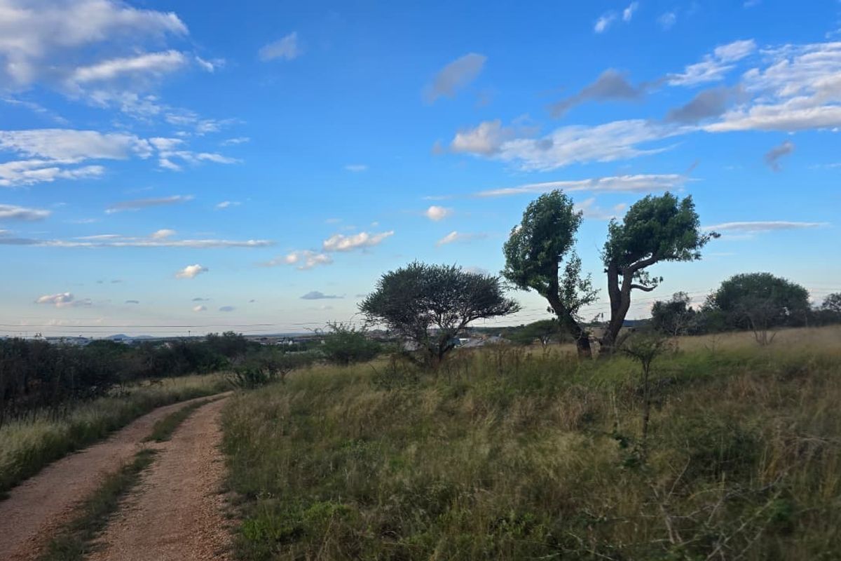 A view of a vacant residential plot featuring a dirt access road and natural vegetation under a clear blue sky.