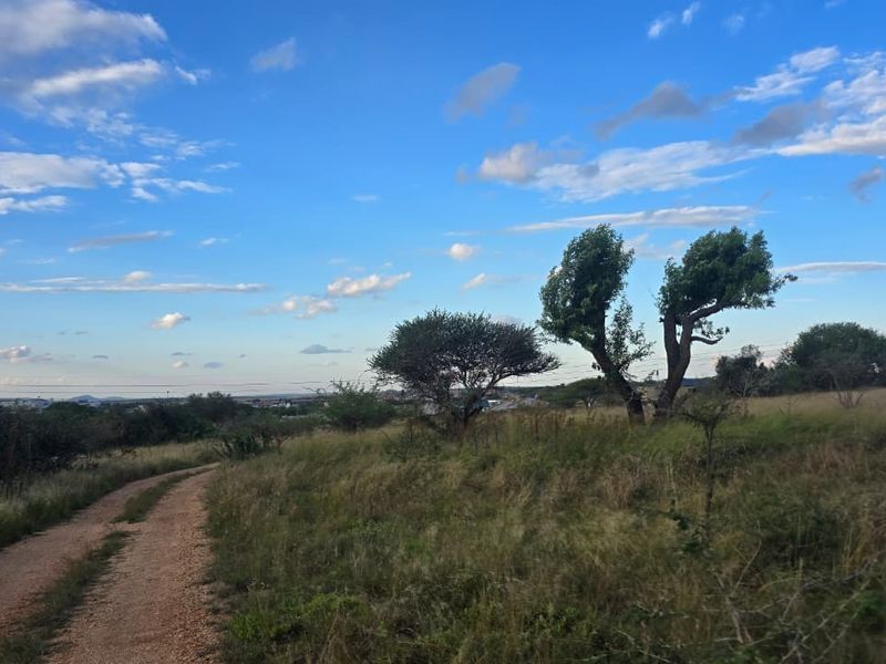 A view of a vacant residential plot featuring a dirt access road and natural vegetation under a clear blue sky.