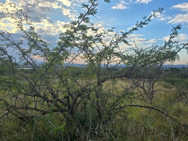 A view of the vacant residential land featuring natural vegetation and open grassland under a sunset sky.