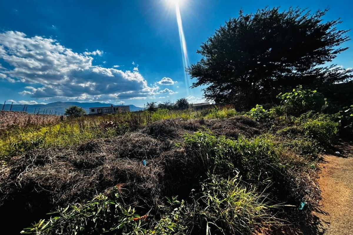 A view of a vacant residential plot featuring overgrown vegetation, boundary wall, and electric fencing under a bright sunny sky.