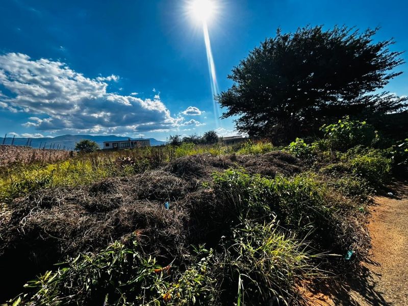 A view of a vacant residential plot featuring overgrown vegetation, boundary wall, and electric fencing under a bright sunny sky.
