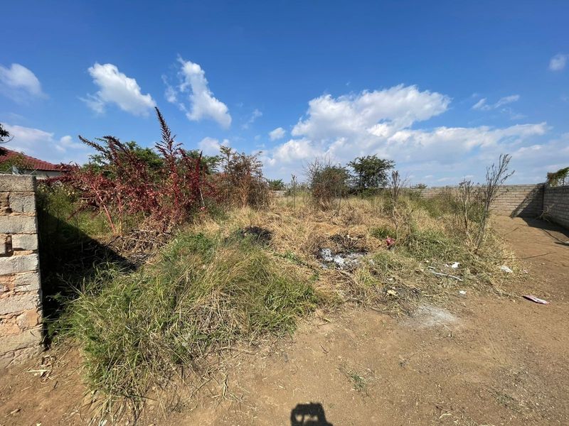 A vacant residential plot featuring perimeter masonry walls and significant overgrown vegetation, offering a blank canvas for future development.