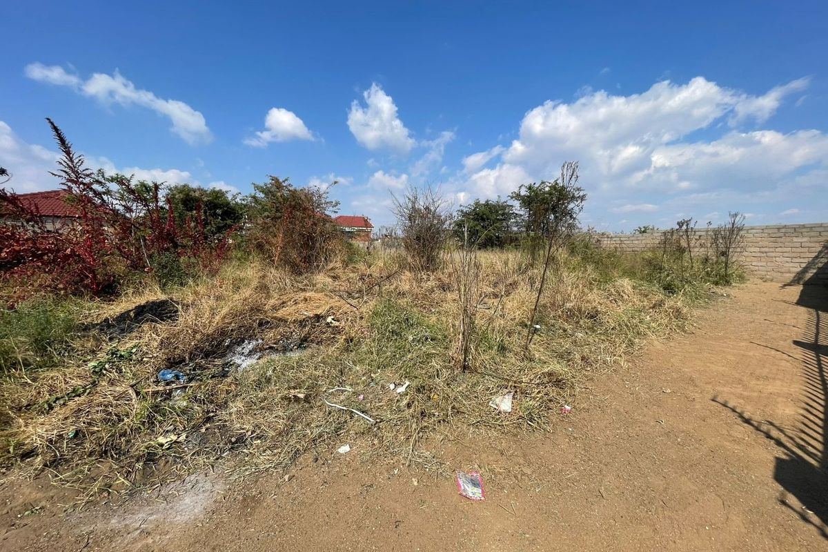 A vacant residential plot featuring overgrown vegetation and a perimeter wall, offering a blank canvas for future development.