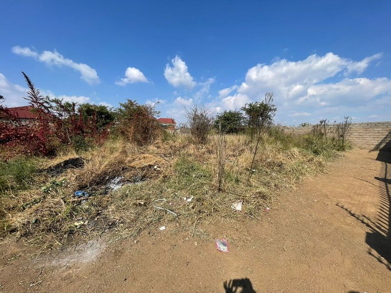 A vacant residential plot featuring overgrown vegetation and a perimeter wall, offering a blank canvas for future development.