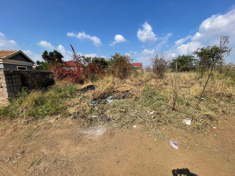 A view of an undeveloped residential plot featuring overgrown vegetation and a partial perimeter wall boundary.