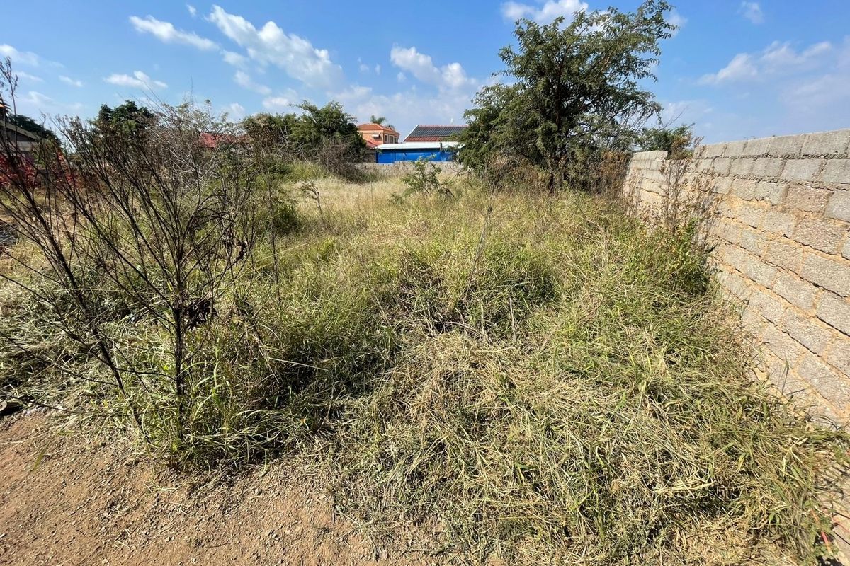 A vacant residential plot featuring overgrown vegetation and a concrete block boundary wall, offering a blank canvas for future development.