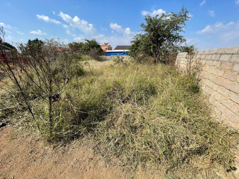 A vacant residential plot featuring overgrown vegetation and a concrete block boundary wall, offering a blank canvas for future development.