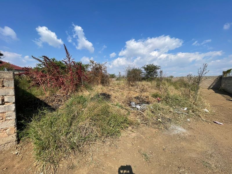 A view of a vacant residential plot featuring overgrown vegetation and a perimeter masonry wall, requiring clearing and site preparation.