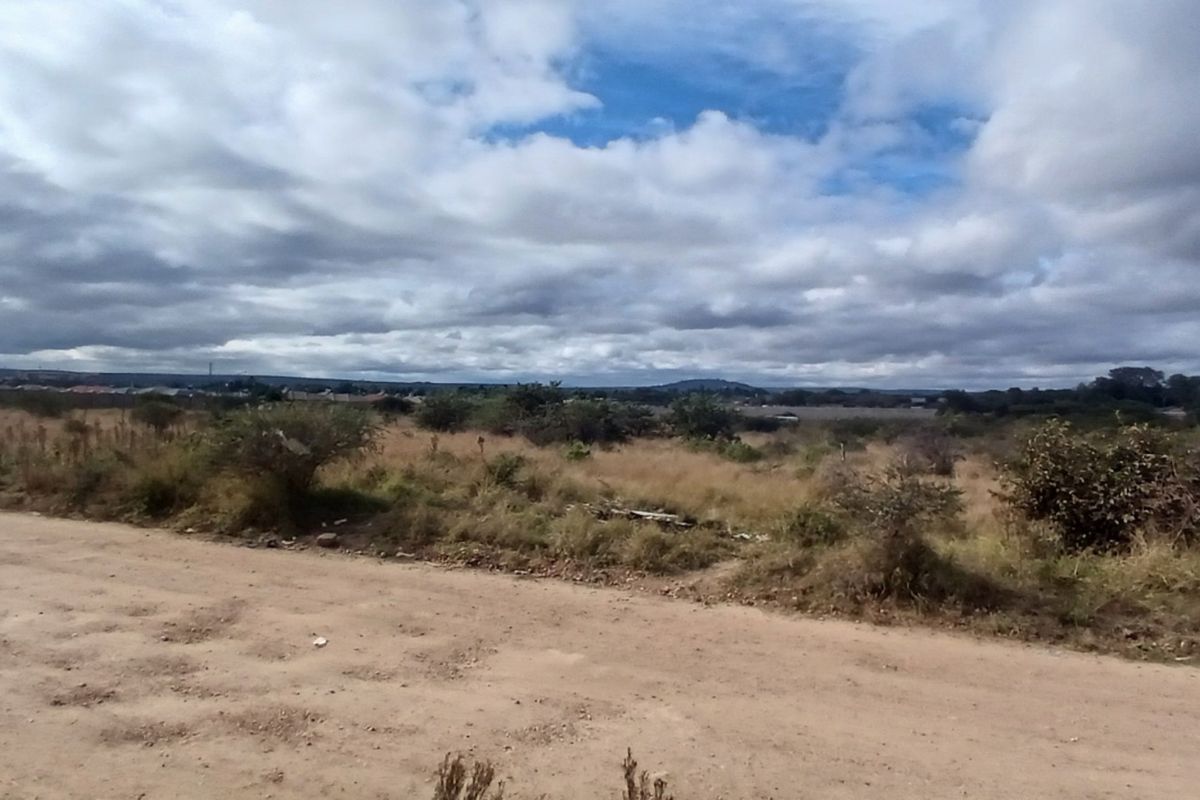 A view of an unpaved road bordering a large, undeveloped residential plot of land under a cloudy sky.