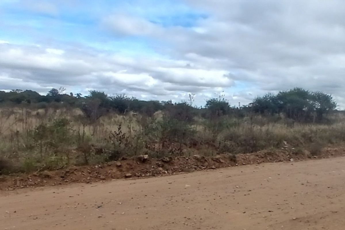 A view of a vacant residential plot adjacent to an unpaved dirt road, featuring natural vegetation and open land.