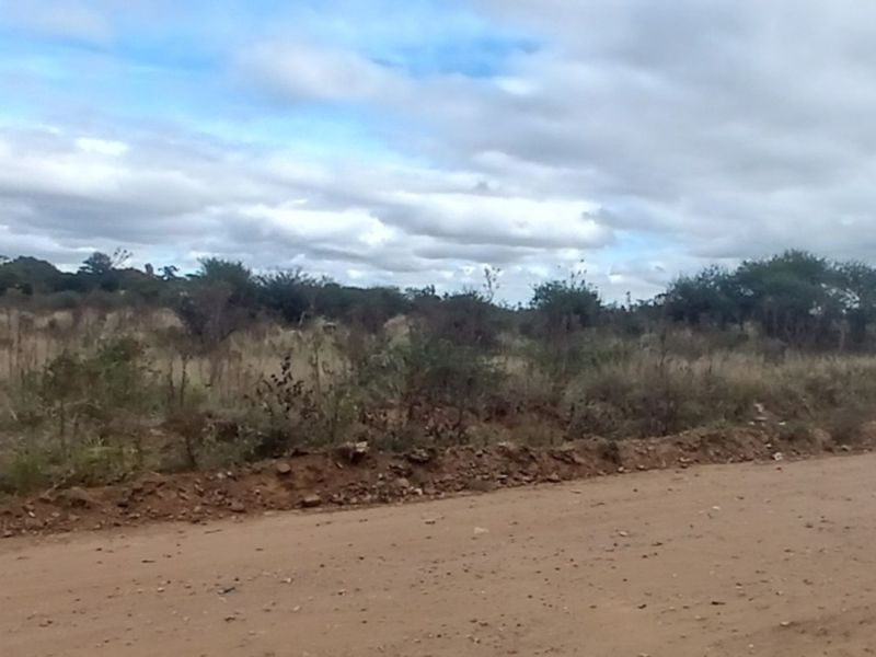 A view of a vacant residential plot adjacent to an unpaved dirt road, featuring natural vegetation and open land.