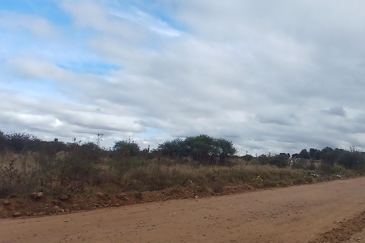 A view of a dirt road adjacent to an undeveloped residential plot of land with natural vegetation.