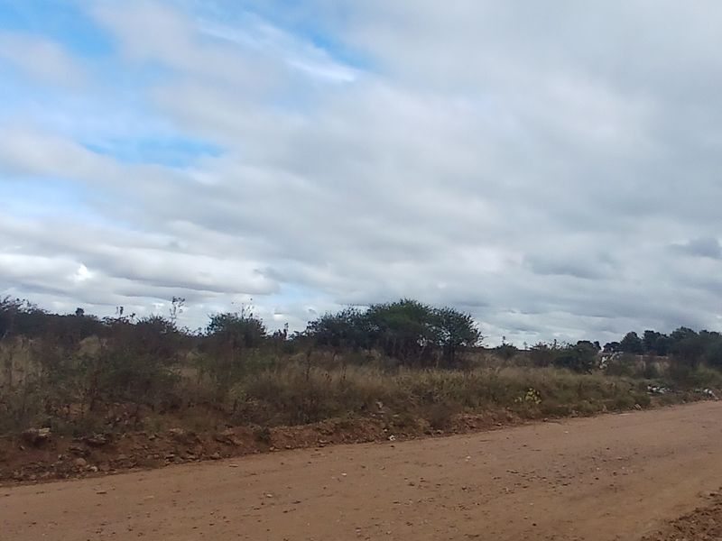 A view of a dirt road adjacent to an undeveloped residential plot of land with natural vegetation.
