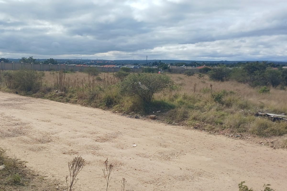 A view of an unpaved road bordering a vacant residential plot with a perimeter wall in the background.