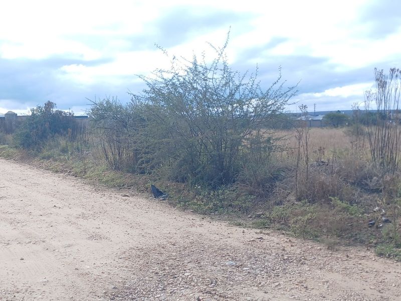 A view of the unpaved road frontage adjacent to the vacant residential land, featuring natural vegetation and a perimeter boundary wall.