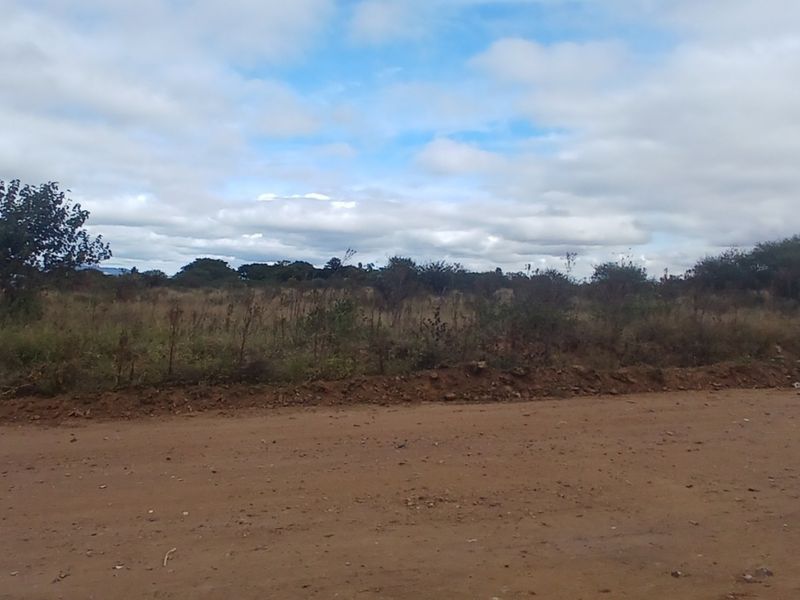 A view of an undeveloped residential plot of land adjacent to an unpaved dirt road.