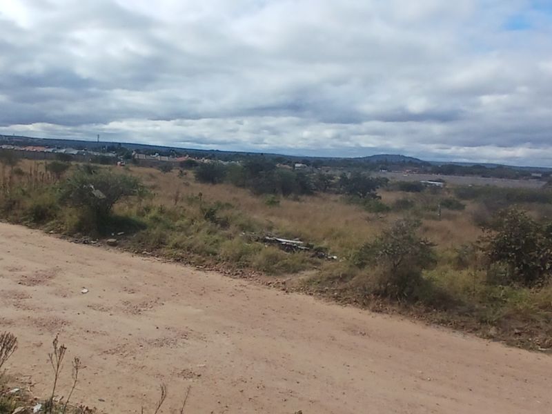 A view of an unpaved road bordering a large, undeveloped vacant residential plot with natural vegetation.