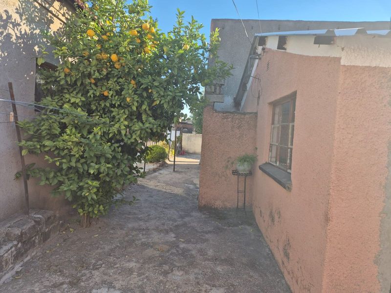 A view of the rear exterior area featuring concrete paving, textured walls, and a mature fruit tree alongside the building structure.