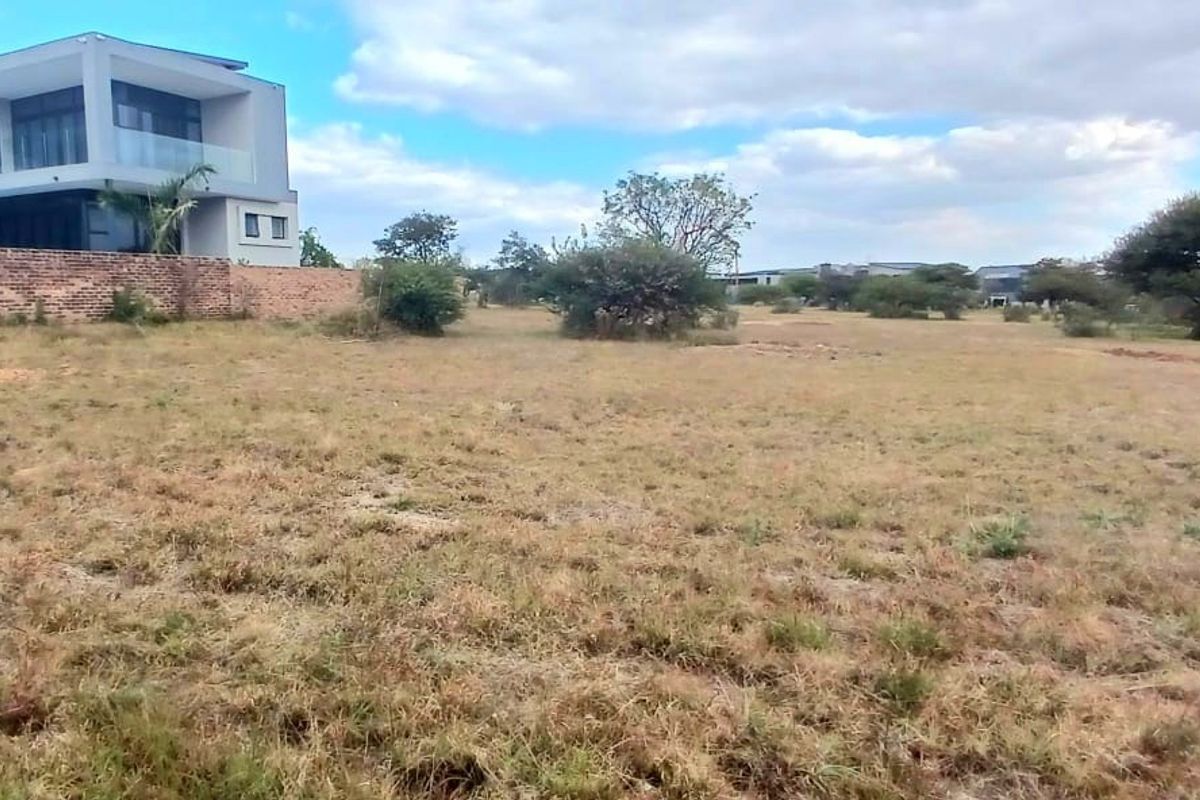 A vacant residential plot featuring natural vegetation, mature trees, and an existing boundary wall adjacent to a modern residential property.