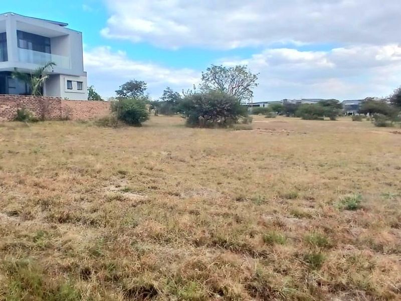 A vacant residential plot featuring natural vegetation, mature trees, and an existing boundary wall adjacent to a modern residential property.