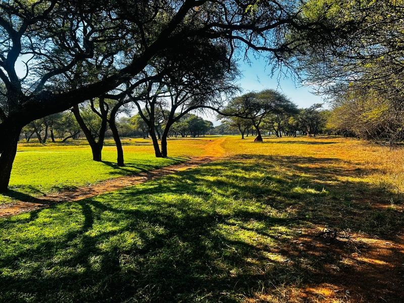 A scenic view of a vacant residential plot featuring mature trees, natural grass, and a dirt path, offering a peaceful outdoor setting.