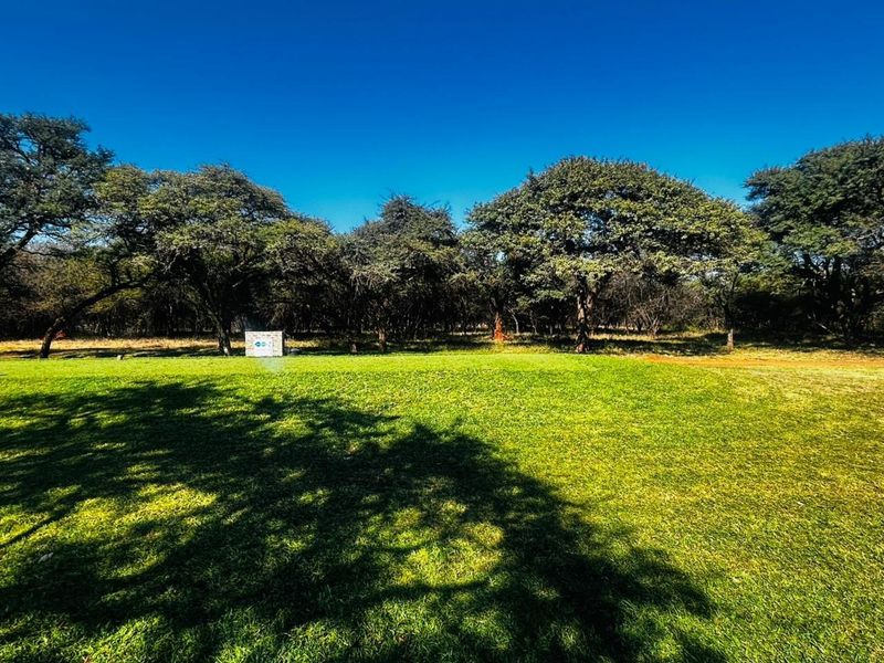 A well-maintained, expansive green lawn surrounded by mature trees on a vacant residential plot.