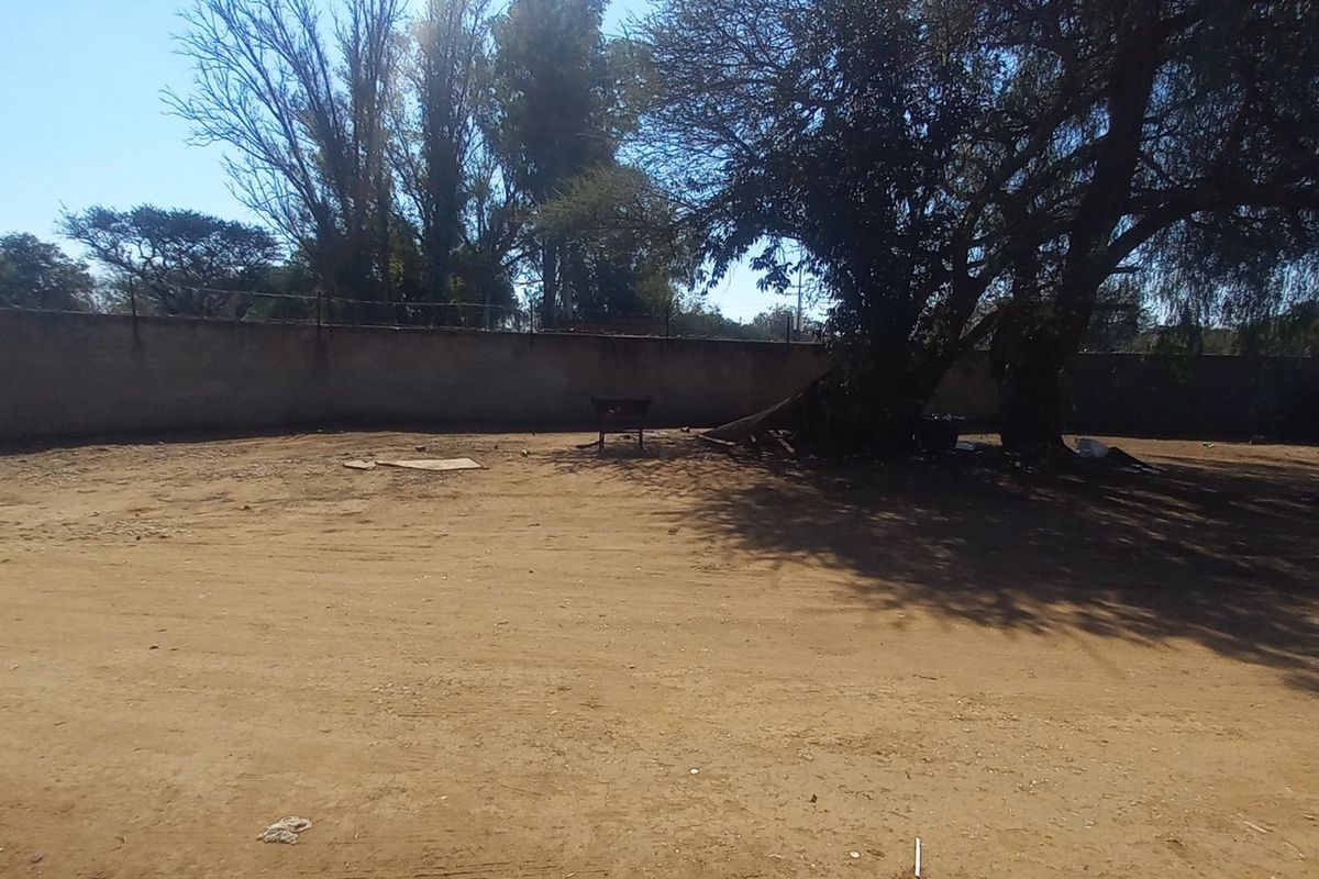 A large, undeveloped backyard area featuring a perimeter wall and a mature tree, offering significant potential for landscaping and outdoor development.