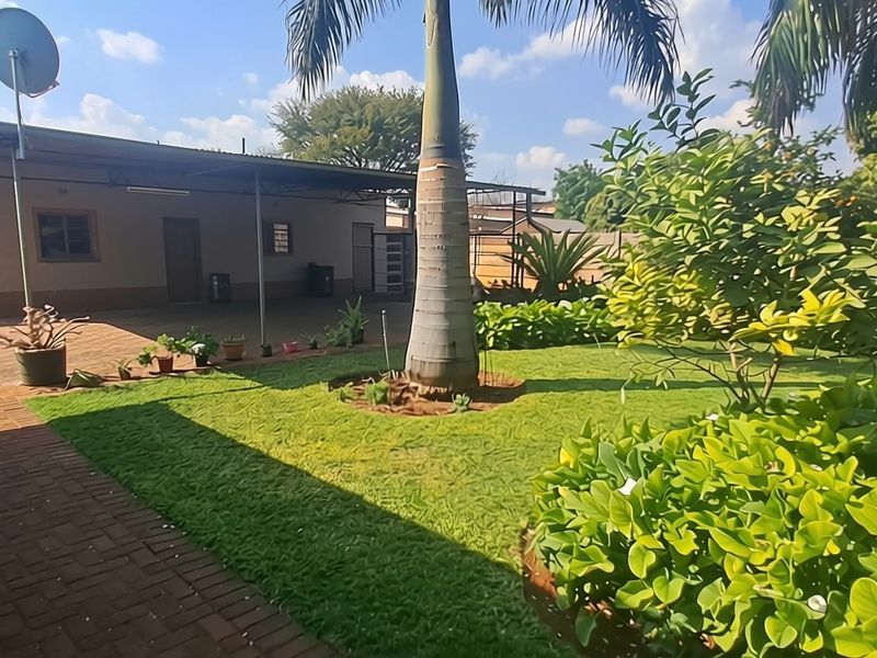 A spacious rear garden featuring a paved patio area, well-maintained lawn, mature palm trees, and a secure boundary wall.