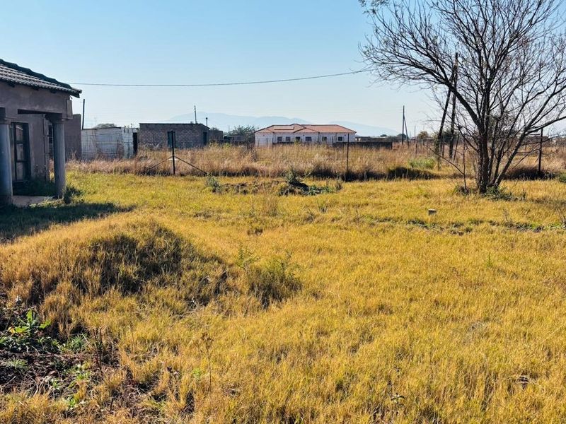 A view of the rear yard featuring a partially visible structure with concrete columns and a tiled roof, set within an expansive, overgrown plot.