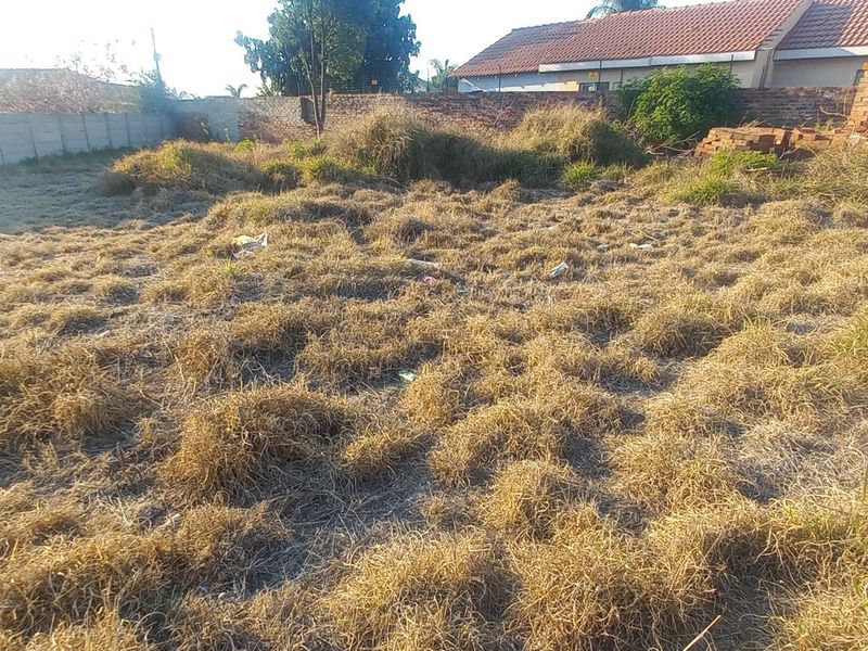 A vacant residential plot featuring perimeter brick and precast concrete boundary walls, currently covered in dry, overgrown grass and vegetation.