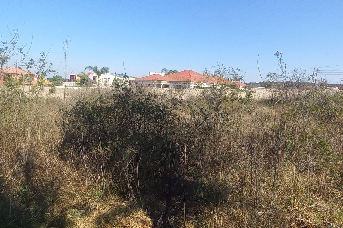 A vacant residential plot covered in overgrown wild vegetation, enclosed by a perimeter wall with surrounding neighborhood houses visible in the background.