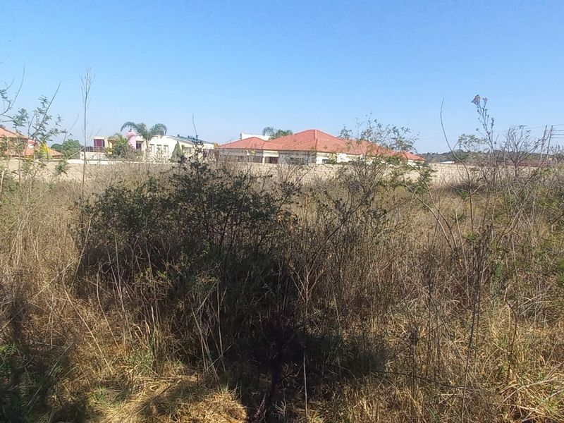 A vacant residential plot covered in overgrown wild vegetation, enclosed by a perimeter wall with surrounding neighborhood houses visible in the background.