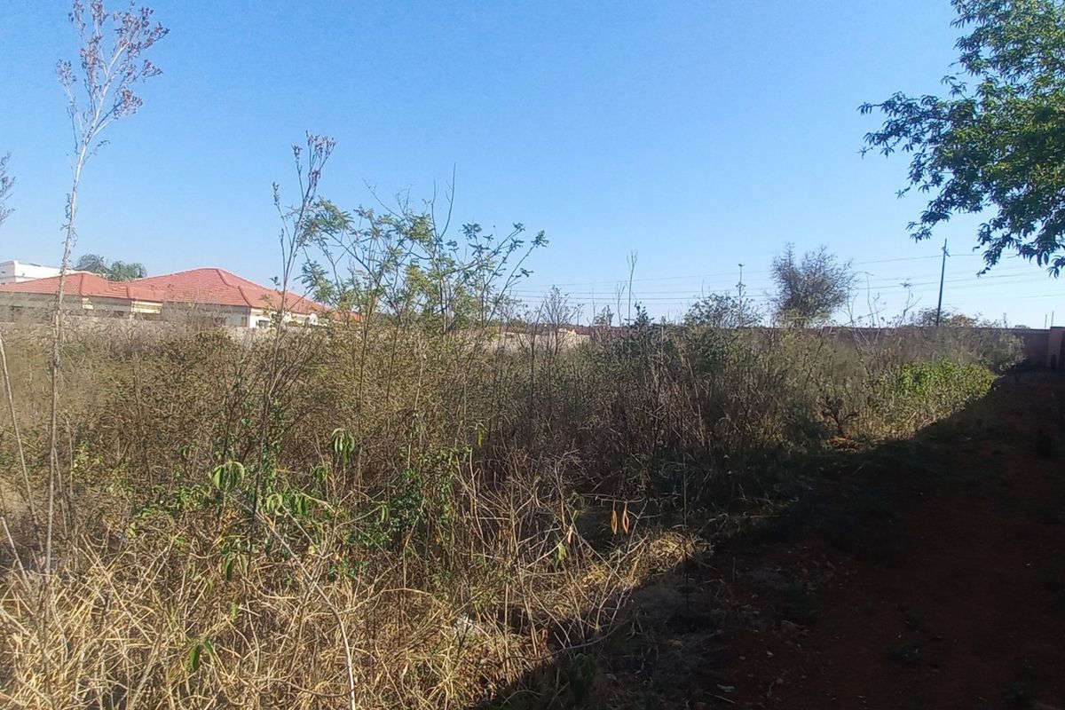 A vacant residential plot featuring a perimeter brick wall and significant overgrown vegetation, offering a blank canvas for future development.