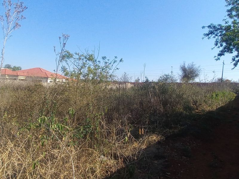 A vacant residential plot featuring a perimeter brick wall and significant overgrown vegetation, offering a blank canvas for future development.