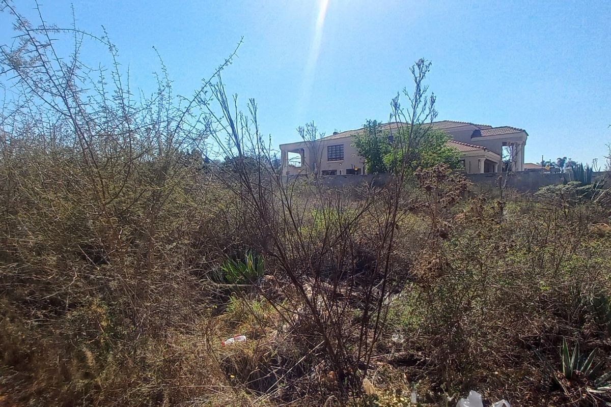A view of an undeveloped residential plot covered in natural vegetation, showing the surrounding neighborhood context.