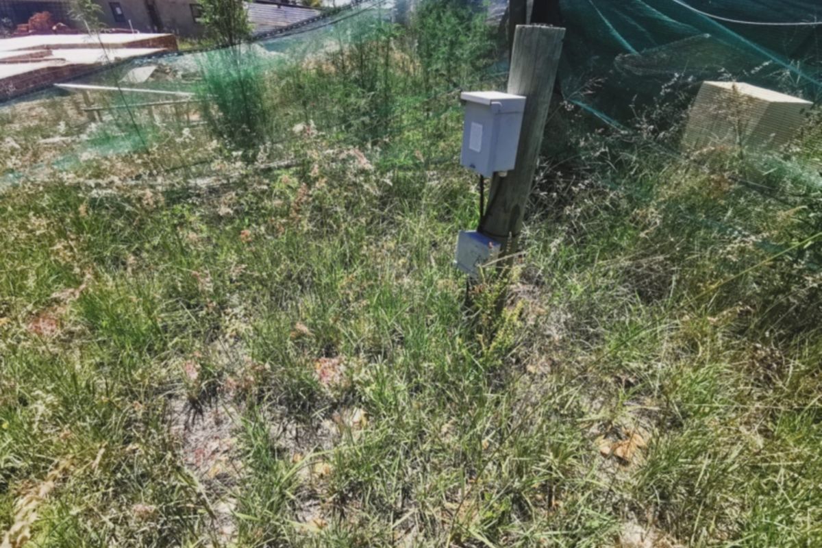 A view of the vacant residential land featuring an existing electrical connection point on a utility pole, surrounded by overgrown vegetation and perimeter netting.