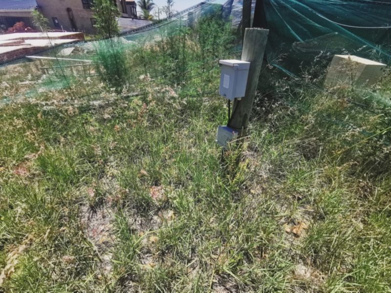 A view of the vacant residential land featuring an existing electrical connection point on a utility pole, surrounded by overgrown vegetation and perimeter netting.