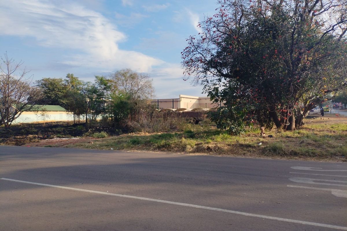 A street-level view of a vacant residential plot featuring mature trees and direct road access.