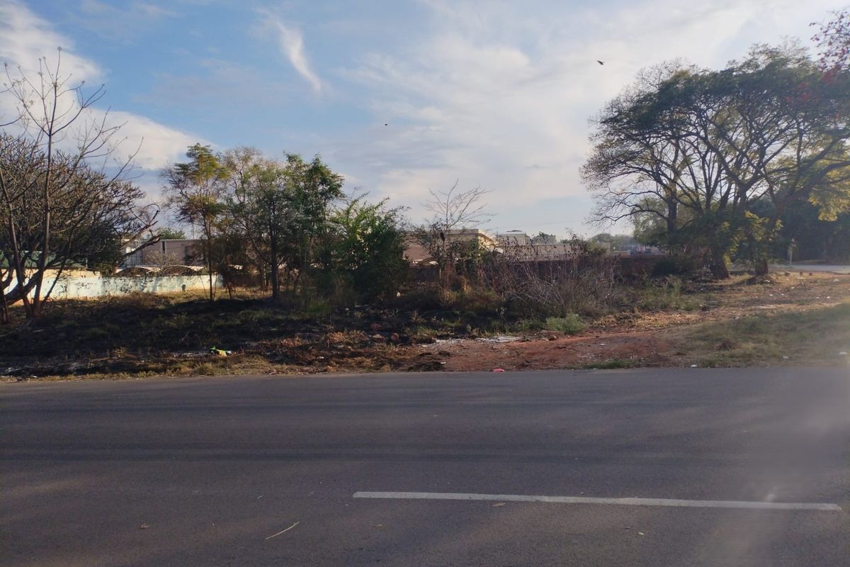 A street-level view of a vacant residential plot featuring mature trees and a boundary wall, situated along an established asphalt road.