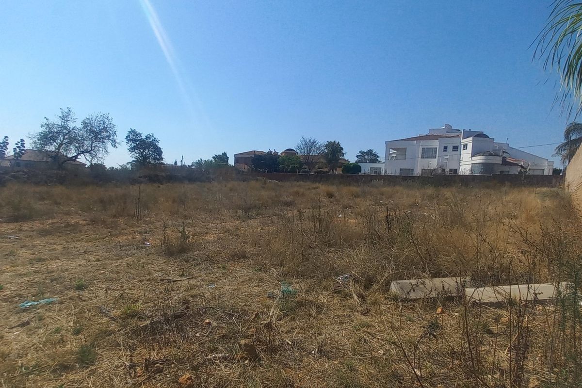 A vacant residential plot featuring dry, overgrown vegetation and a brick boundary wall, offering a blank canvas for future development.