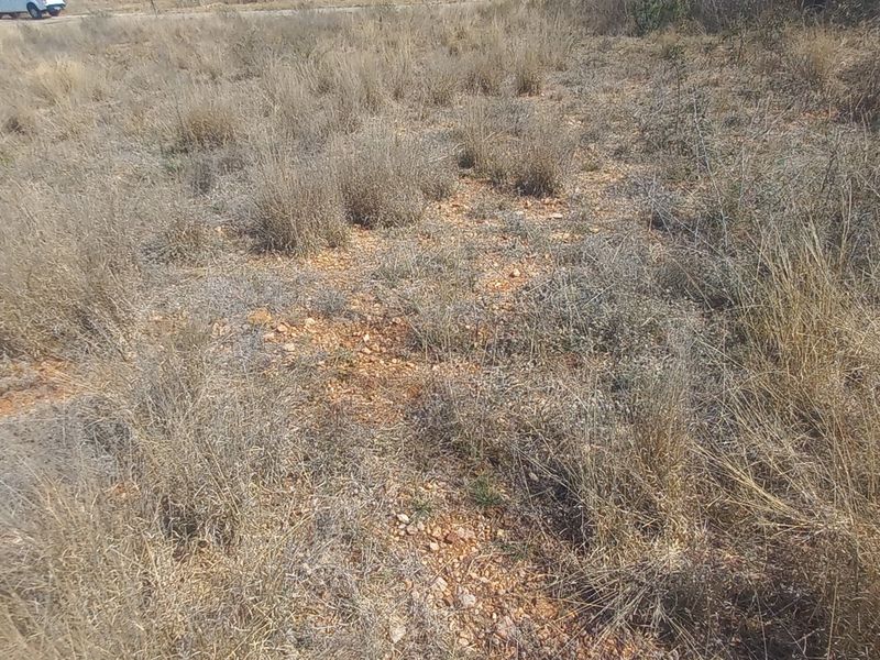 A view of a vacant residential plot featuring dry, natural vegetation and rocky soil, suitable for future development.