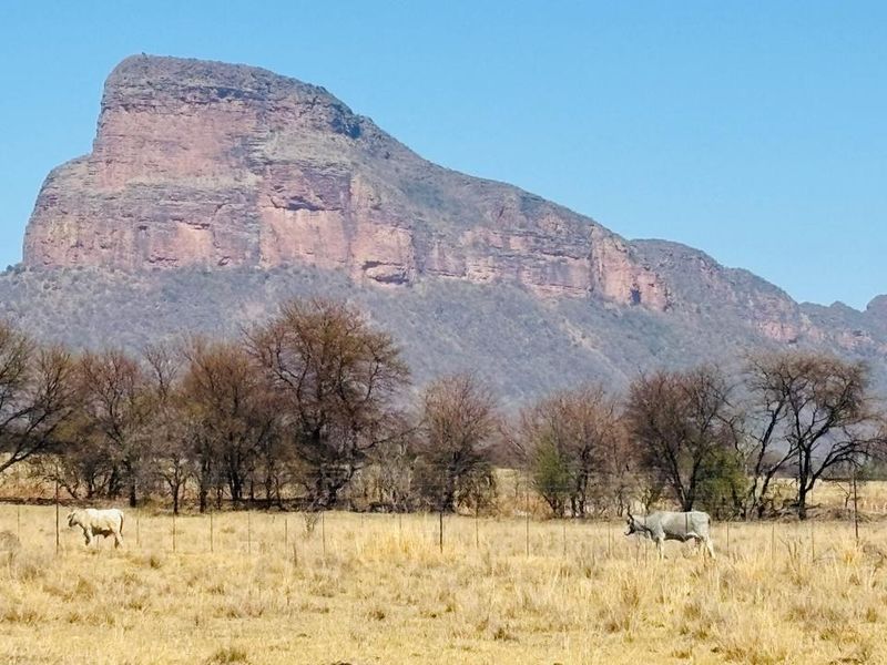 A scenic landscape view of a prominent mountain range overlooking open farm grazing land with perimeter wire fencing.