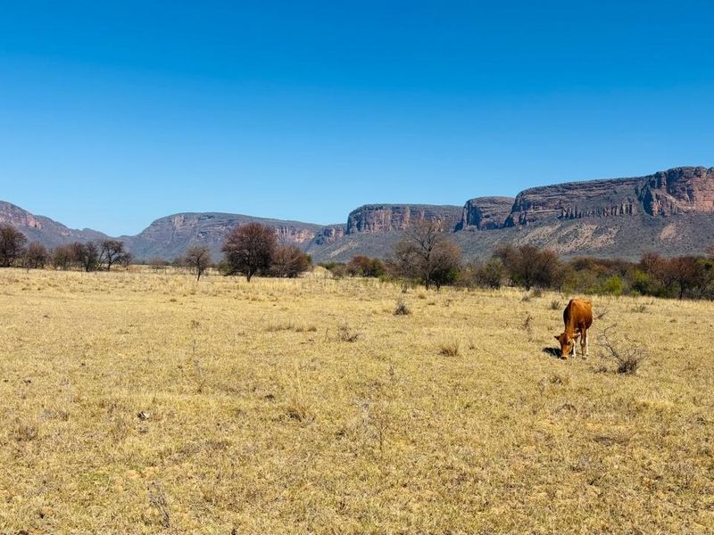 Expansive open farm landscape featuring dry grazing pasture with a scenic mountain range backdrop under a clear blue sky.