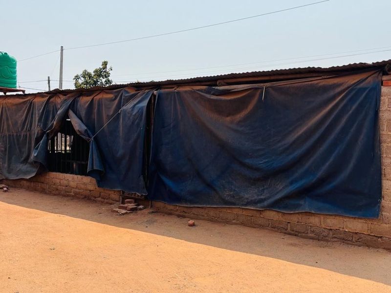 900m2 Smallholding with Borehole & 1500-Chicken Poultry Setup – Ga-Madiba, Mokopane - Photo 10