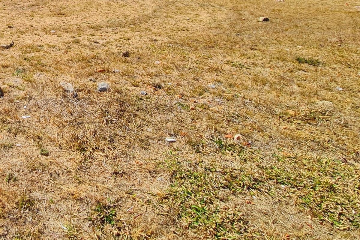A view of an undeveloped residential plot of land with dry grass and sparse vegetation.