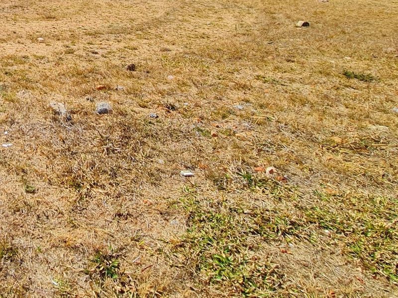 A view of an undeveloped residential plot of land with dry grass and sparse vegetation.
