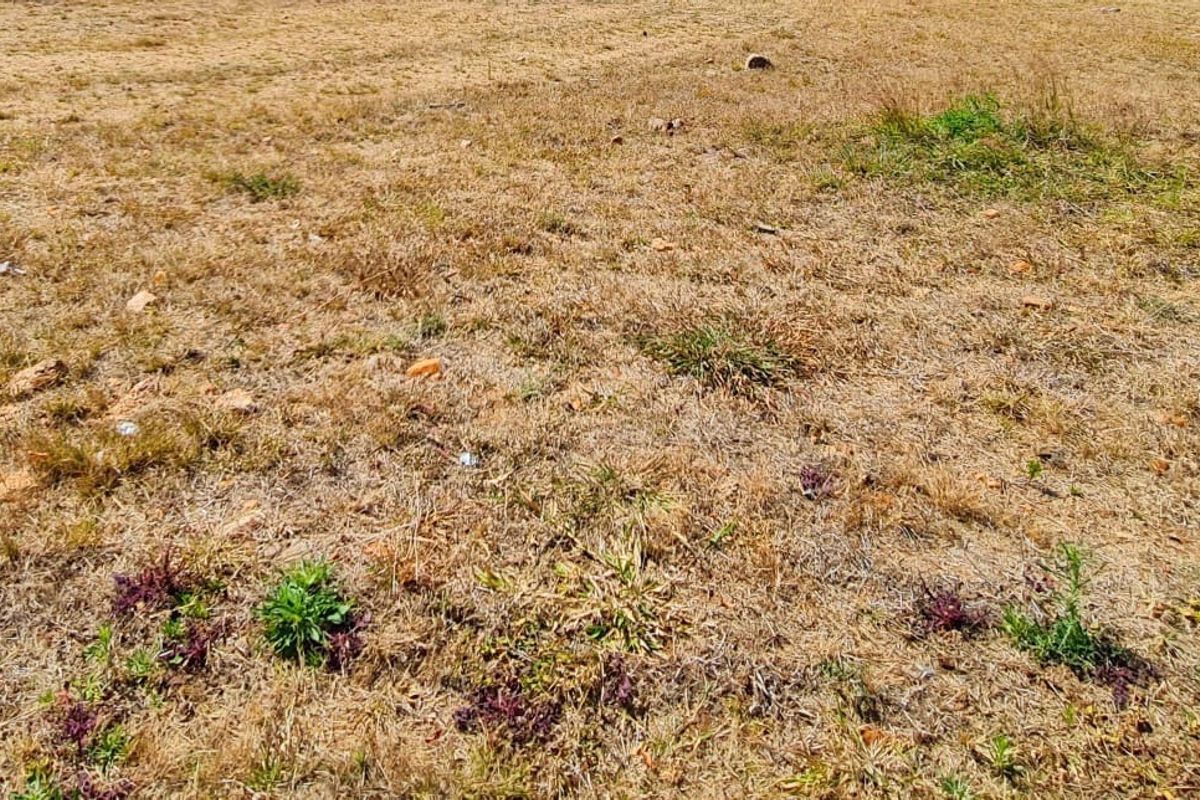 A view of the vacant residential land showing dry grass and natural terrain.