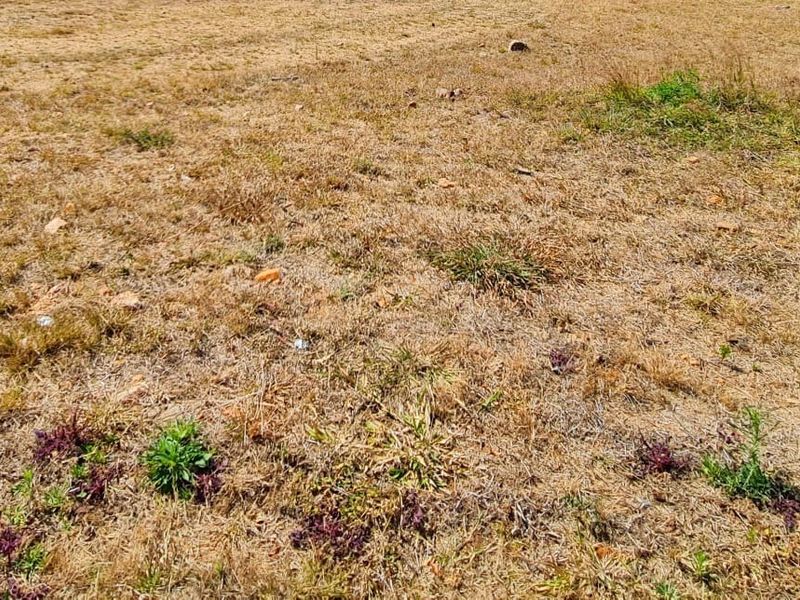 A view of the vacant residential land showing dry grass and natural terrain.